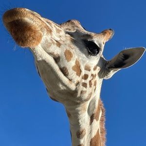 Closet clean out! Make offers moving! Please!